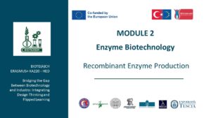 Recombinant Enzyme Production