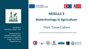 M3P1 - Plant Tissue Culture