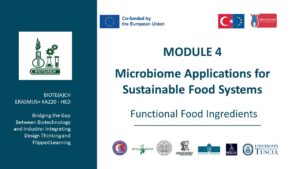 Functional Food Ingredients