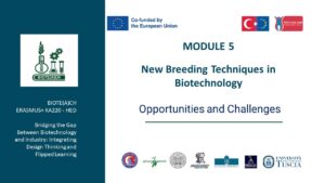 NBTs in Biotechnology and Challenges
