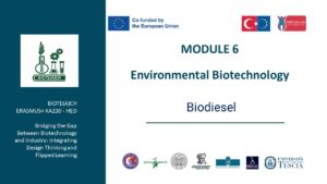 Biodisel